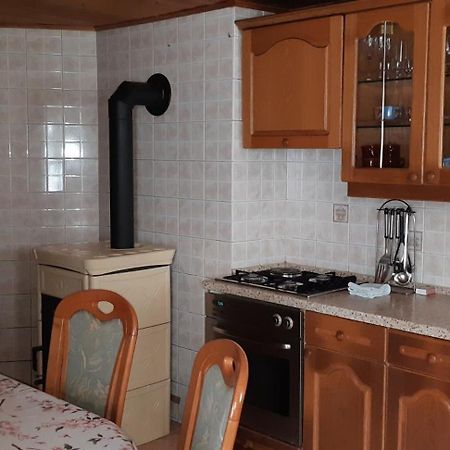 Apartment Zorc Trenta Eksteriør billede